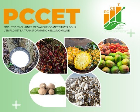 PCCET - Côte d’Ivoire Export