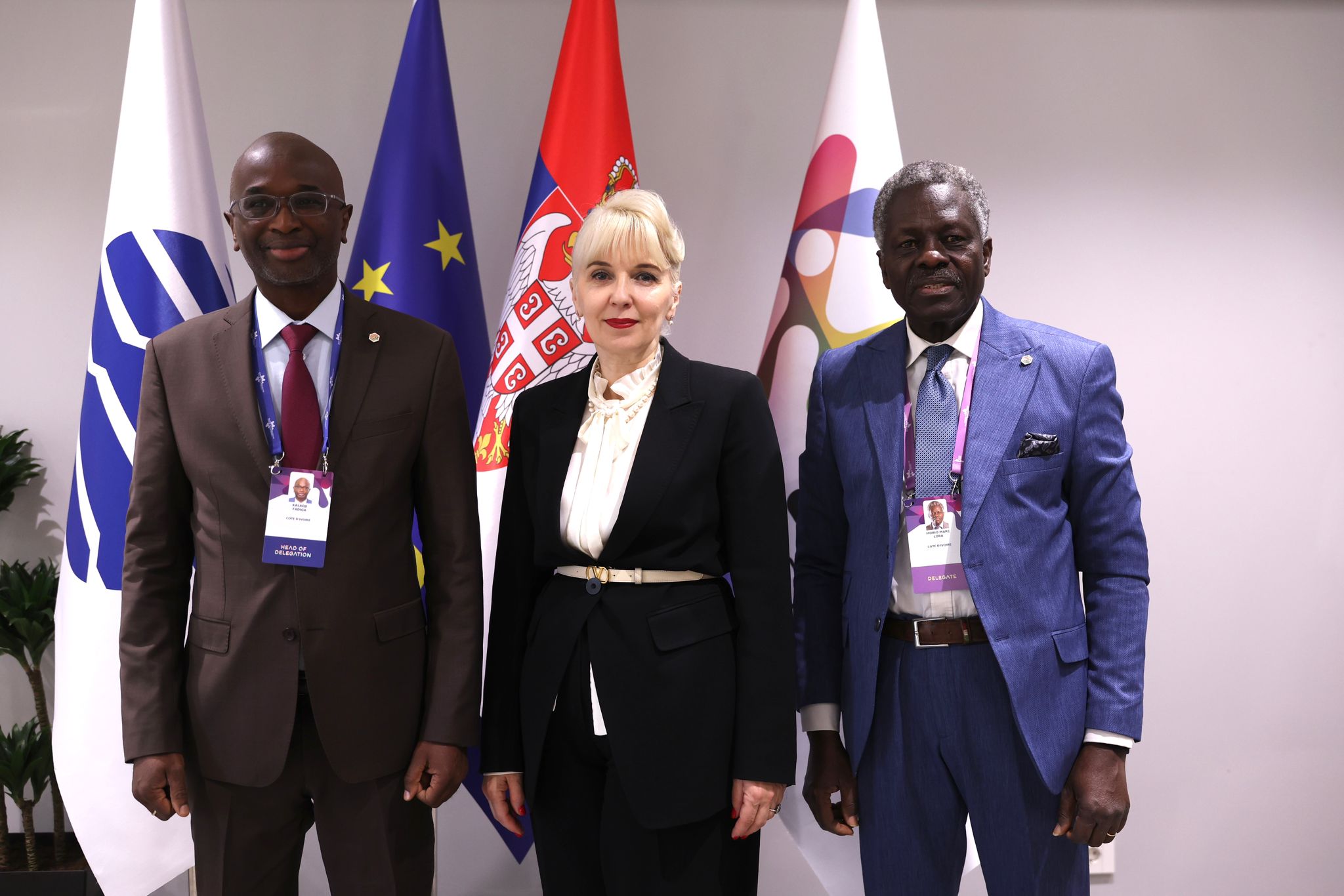 Image 2026-03-11 at 12.49.18